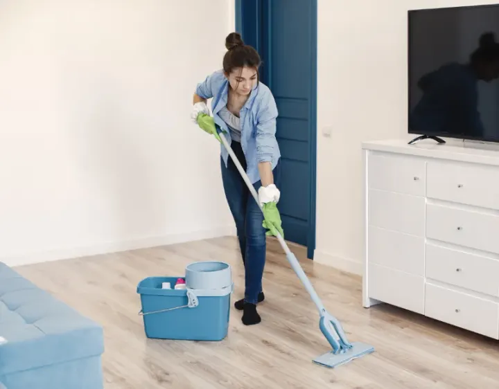 Femme de ménage Machemont